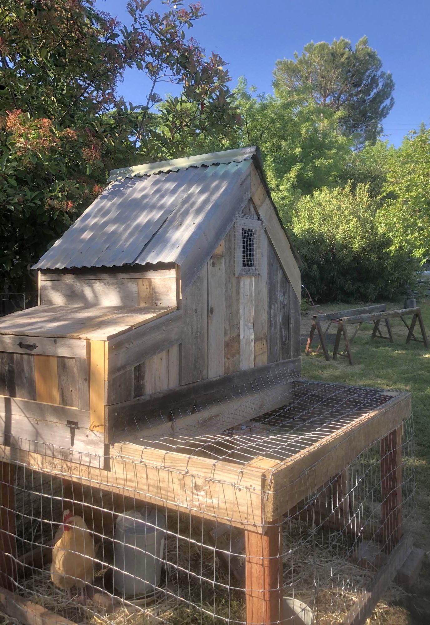 Chicken coop Ana White